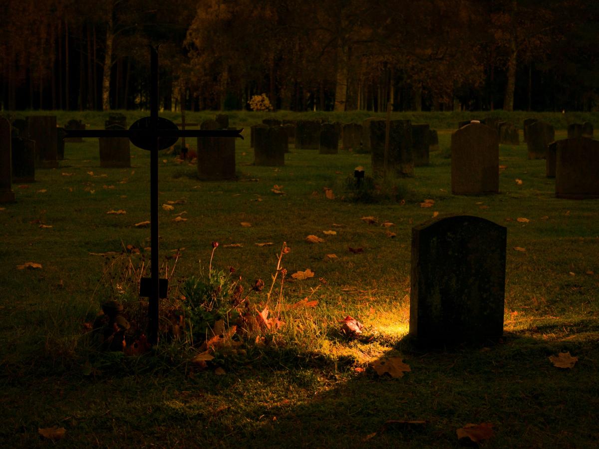 Kuru Yaprakların Cenaze&nbsp;Senfonisi